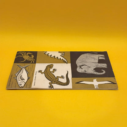 The Meaning of Animal Form Part Two: Change and Continuity by Andrew Packard (1959)