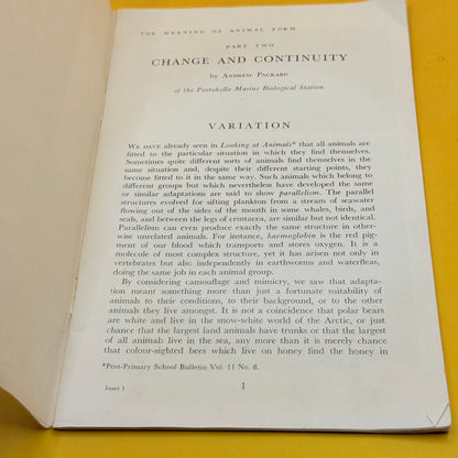 The Meaning of Animal Form Part Two: Change and Continuity by Andrew Packard (1959)