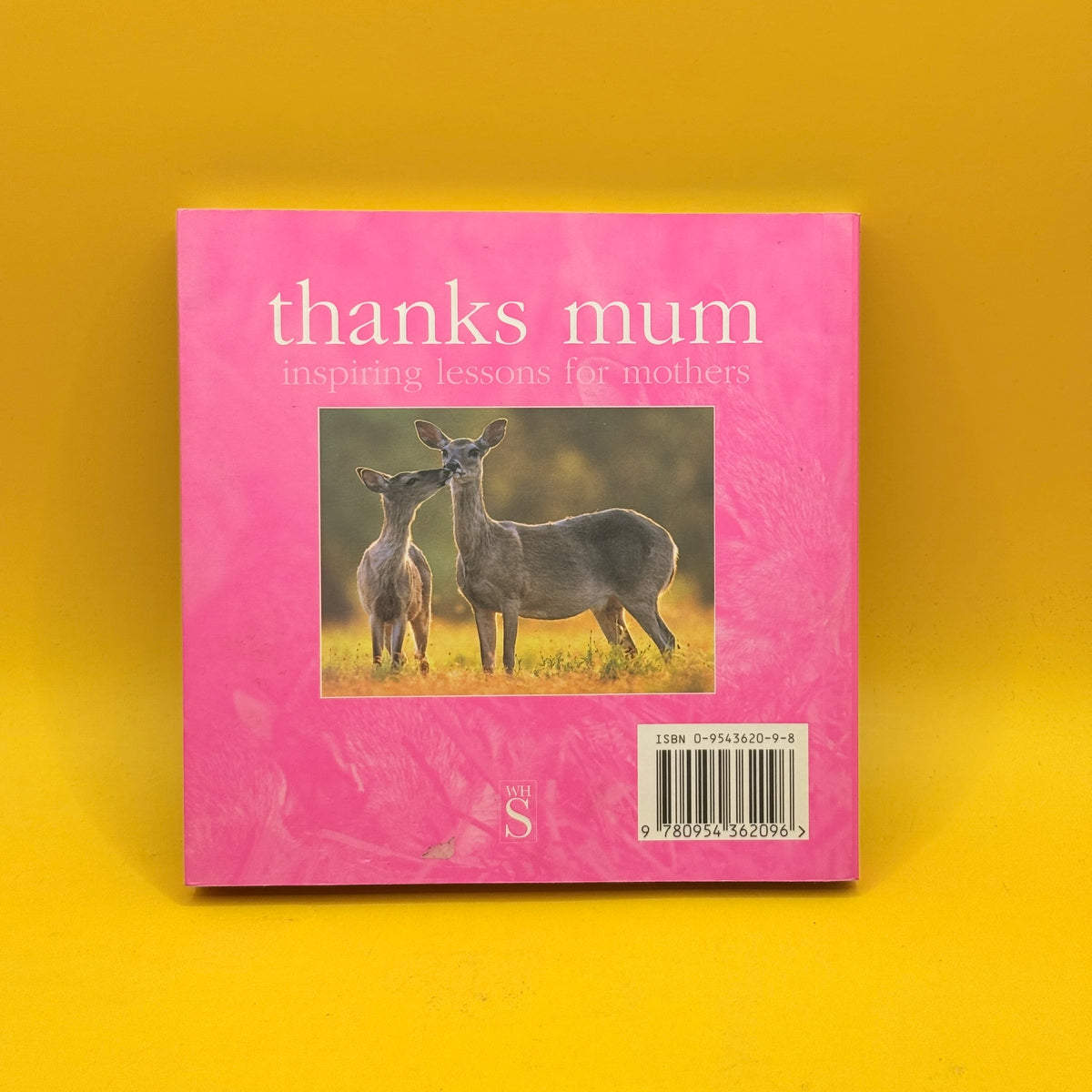 Thanks Mum: Inspiring Lessons for Mothers