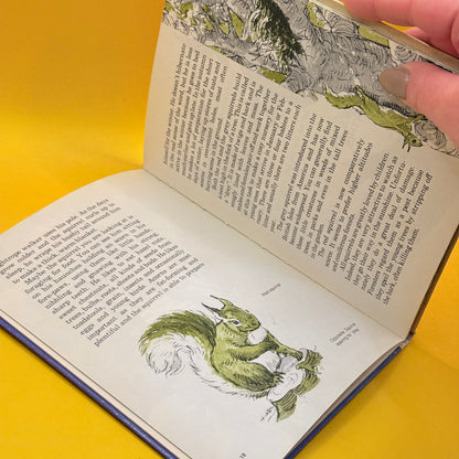 What’s That? A Young Explorer’s Guide to Living Nature Book 1: In the Park by Frederic Metcalf (1965)
