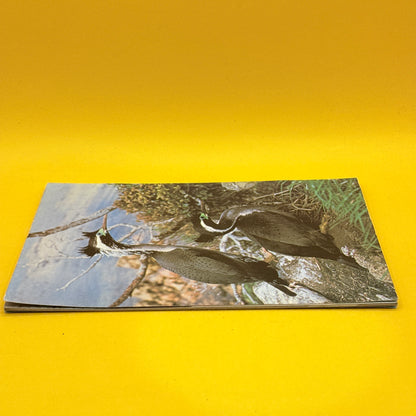 Native Birds of New Zealand by D. H. Brathwaite
