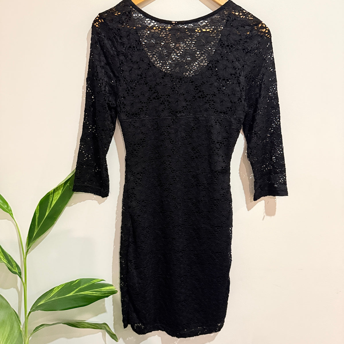 Ally Size M Black Lace Long Sleeve Bodycon Dress