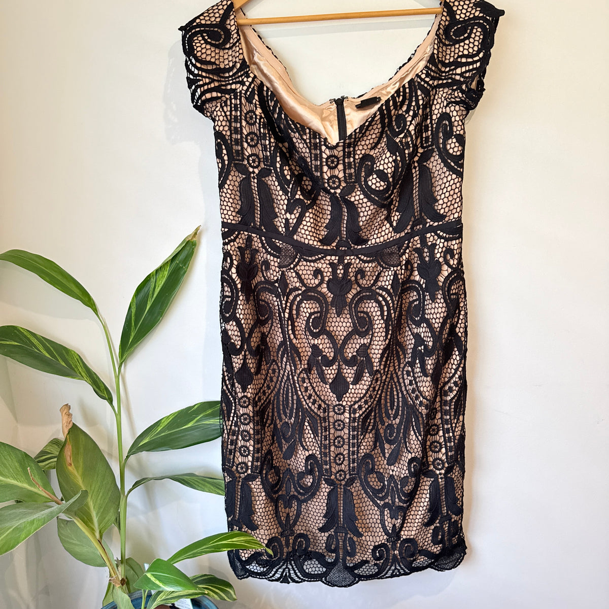 City Chic Black Lace Overlay Cap Sleeve Dress Size S (16)