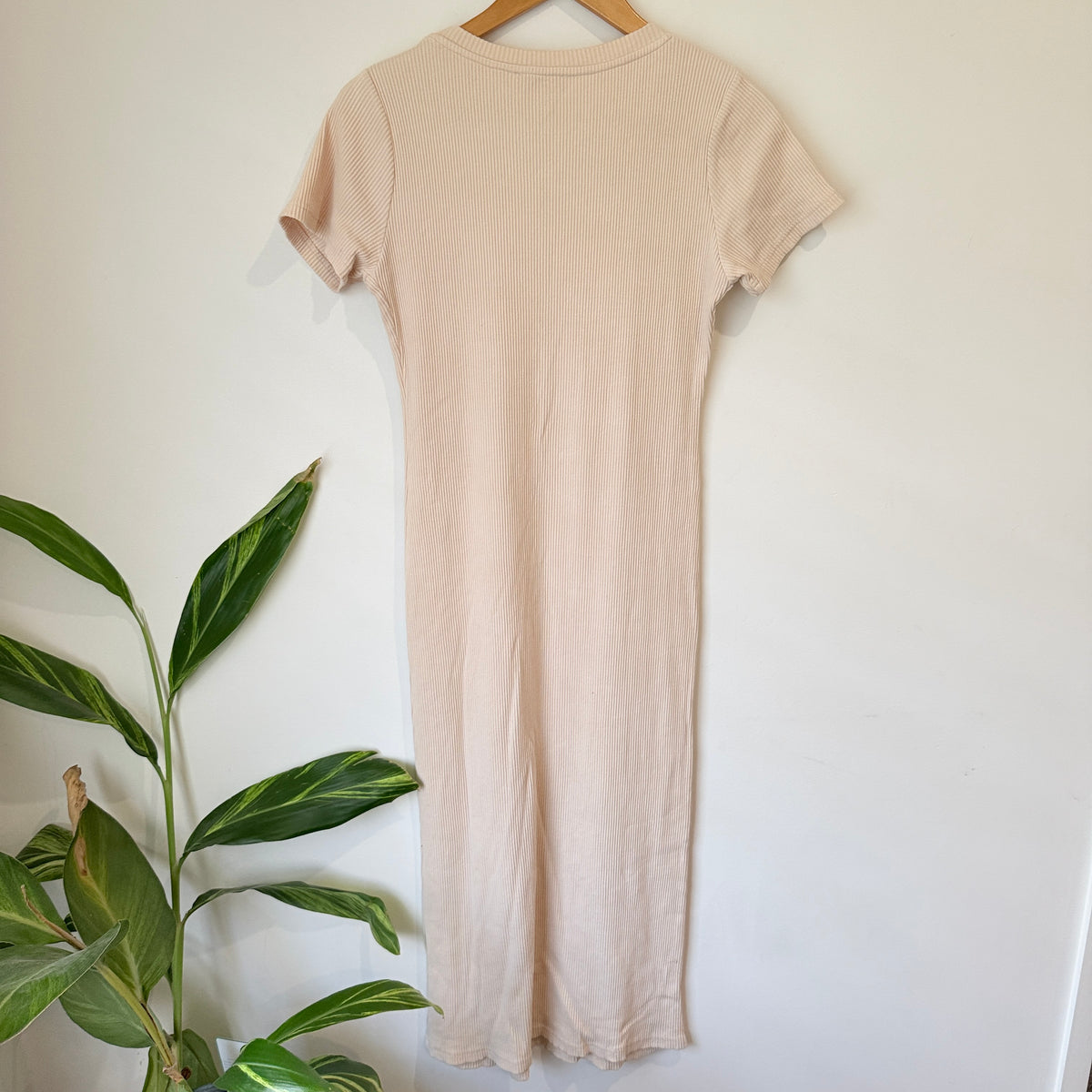 Charlo Cream Ribbed Short Sleeve Midi Dress Size 10