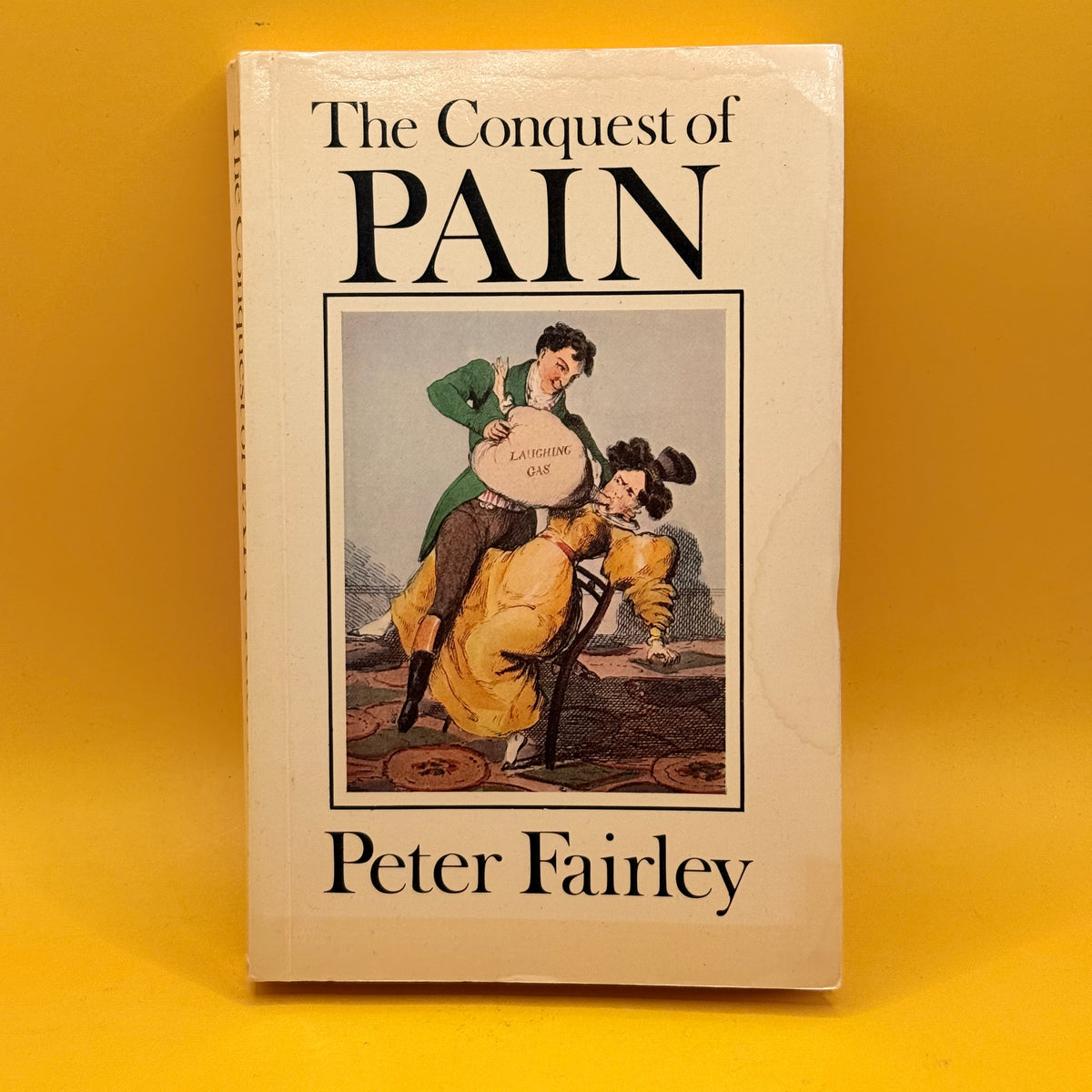The Conquest of Pain by Peter Fairley (1978)