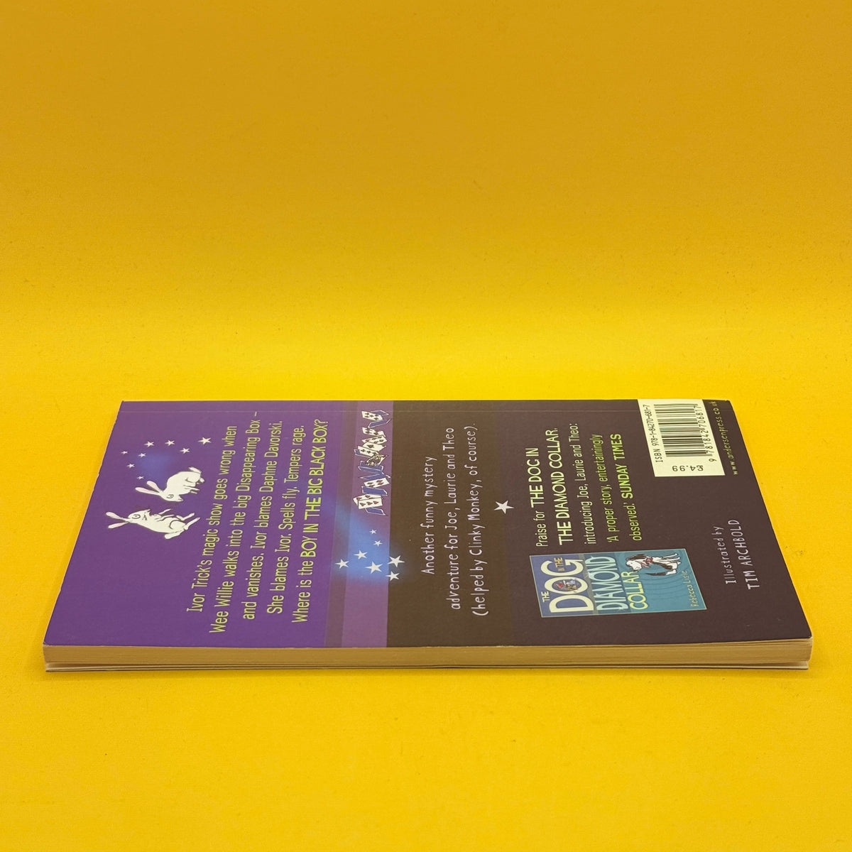The Boy in the Big Black Box by Rebecca Lisle
