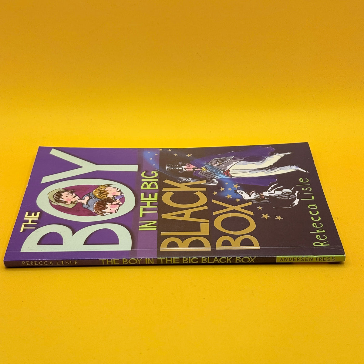 The Boy in the Big Black Box by Rebecca Lisle