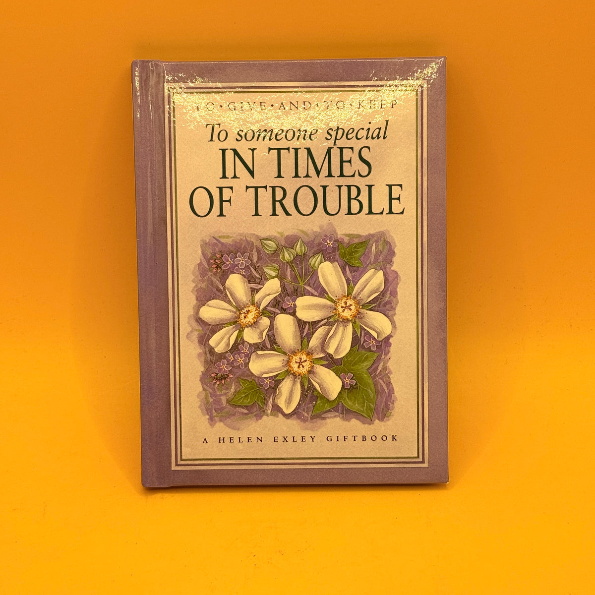 To Someone Special in Times of Trouble by Helen Exley (2003)