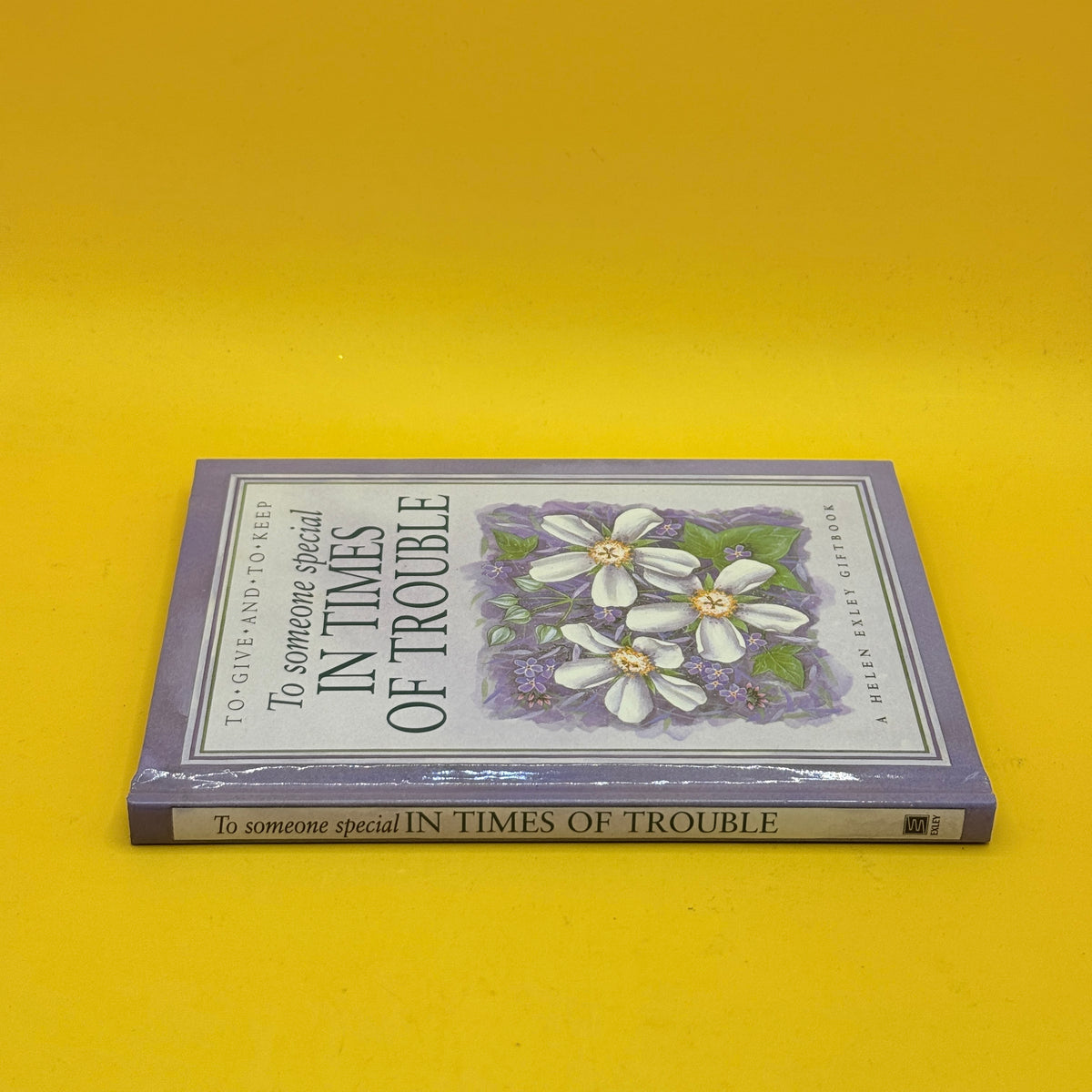 To Someone Special in Times of Trouble by Helen Exley (2003)