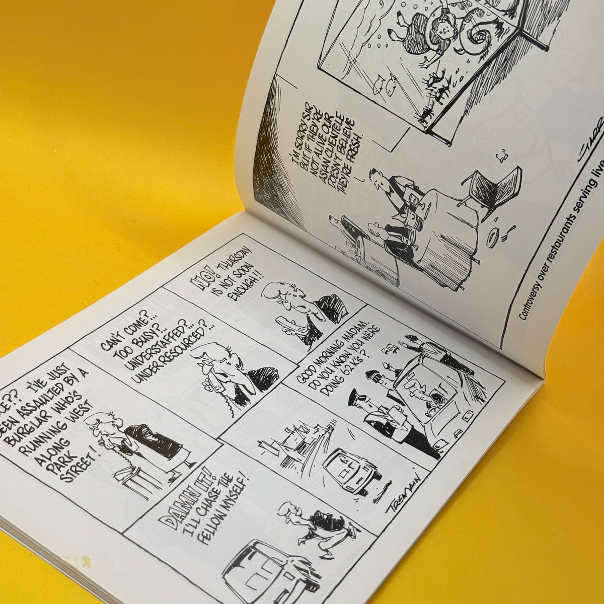 Best of ’97 Garrick Tremain Cartoons Volume 8 by Garrick Tremain