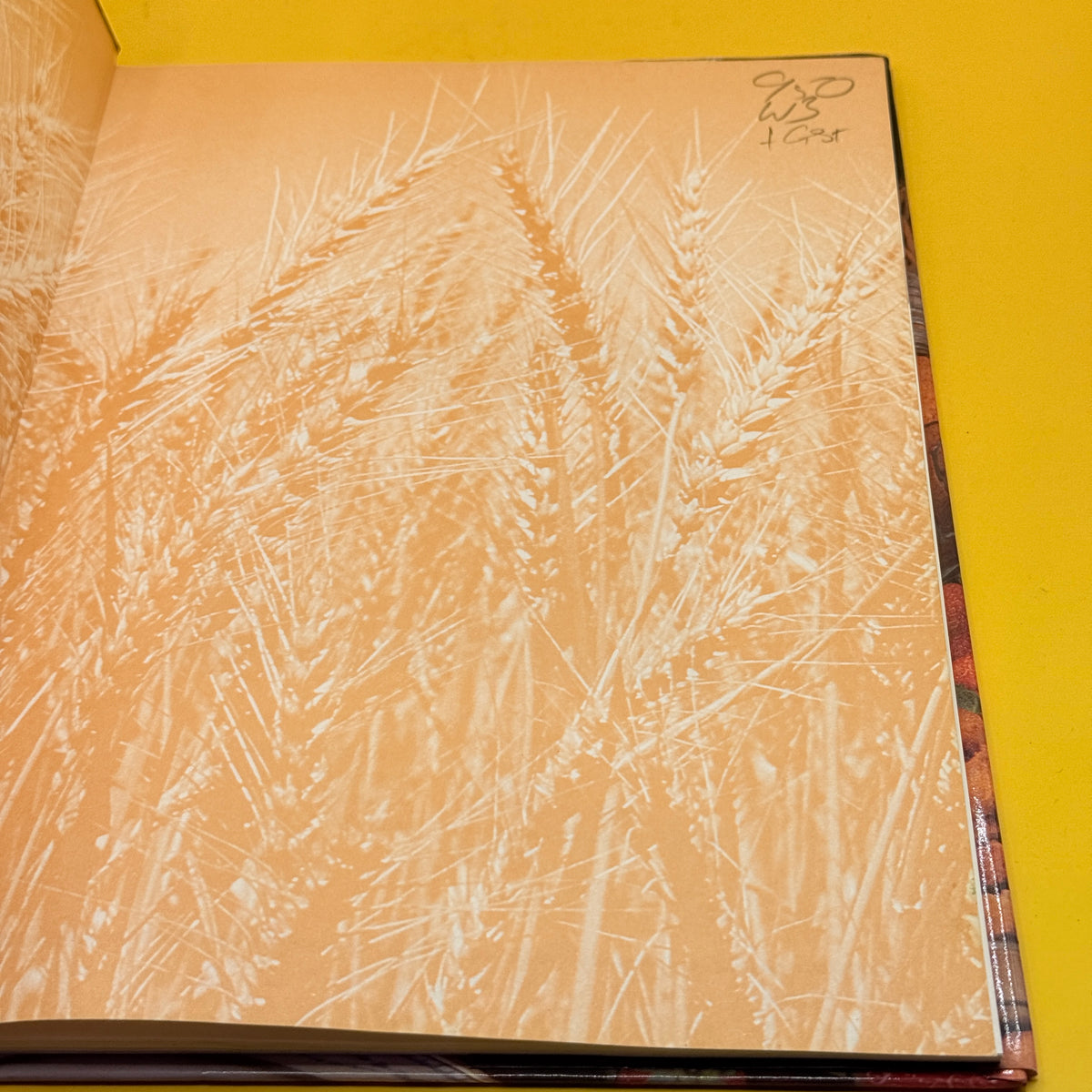 The Complete Vogel Bread Cookbook by Catherine Saxelby
