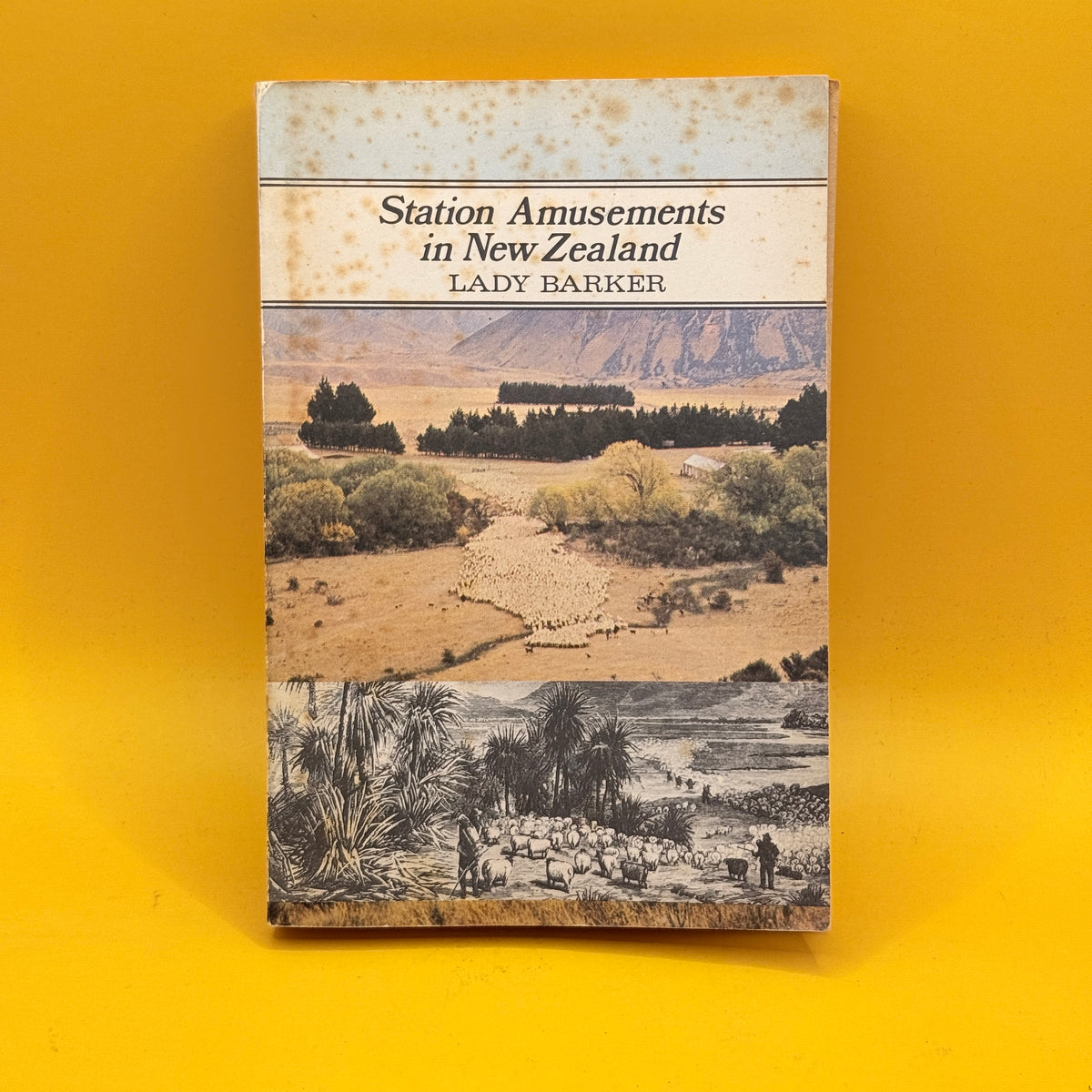 Station Amusements in New Zealand by Lady Barker