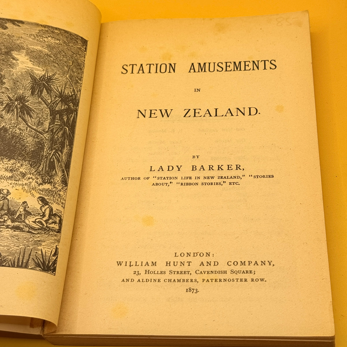 Station Amusements in New Zealand by Lady Barker
