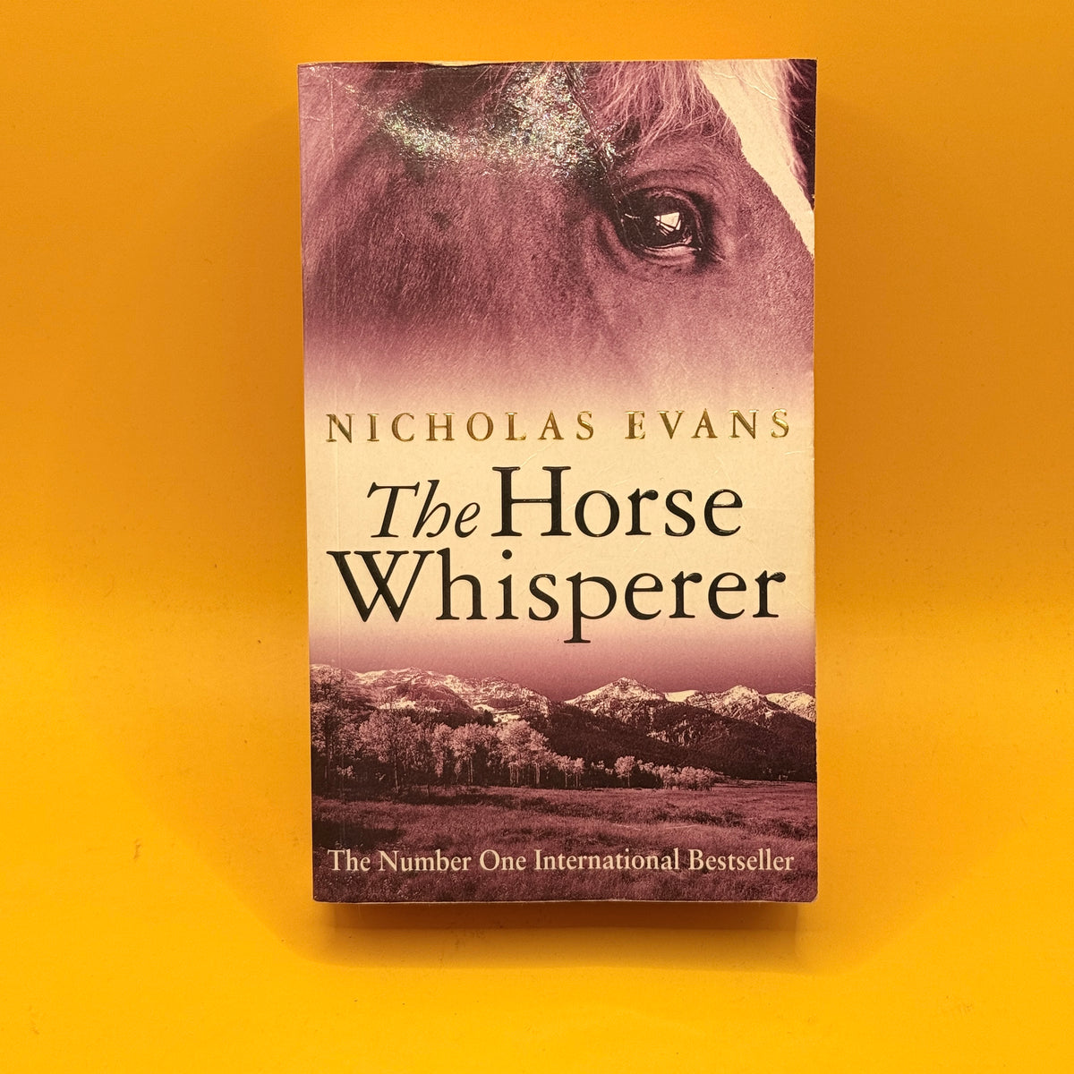 The Horse Whisperer by Nicholas Evans