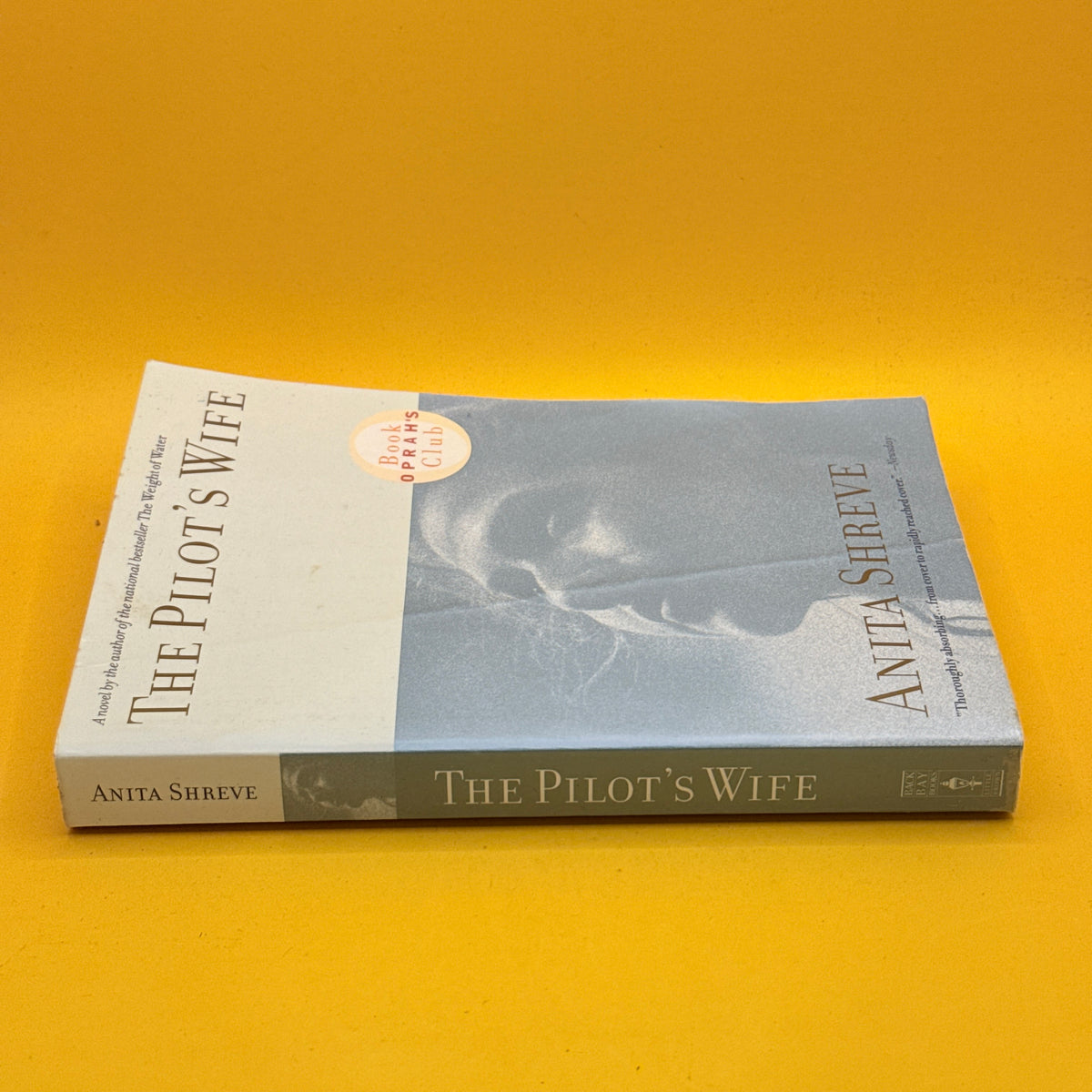 The Pilot’s Wife by Anita Shreve