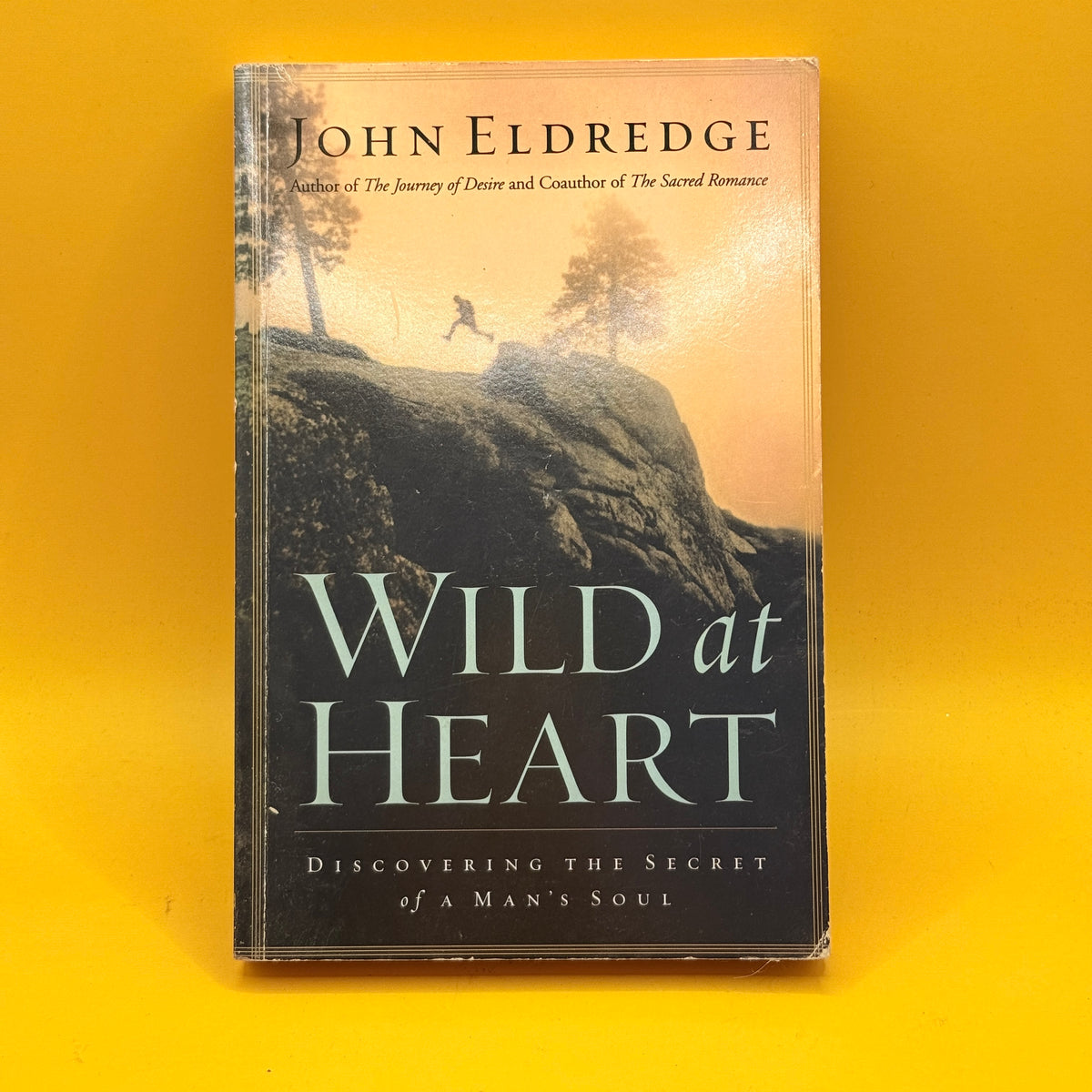 Wild at Heart: Discovering the Secret of a Man’s Soul by John Eldredge
