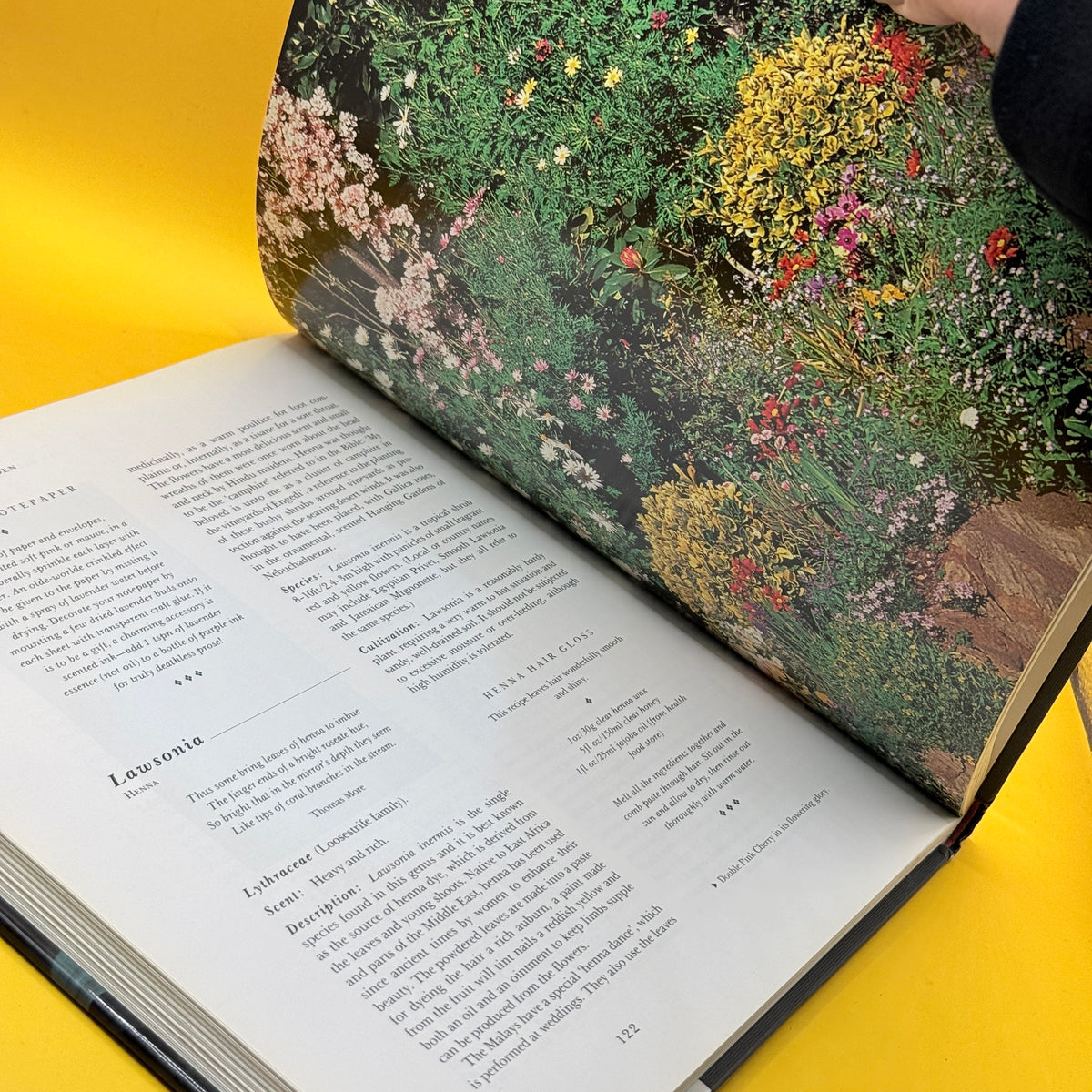 The Scented Garden: A Complete Guide to Growing and Using Scented Plants by Pamela Allardice