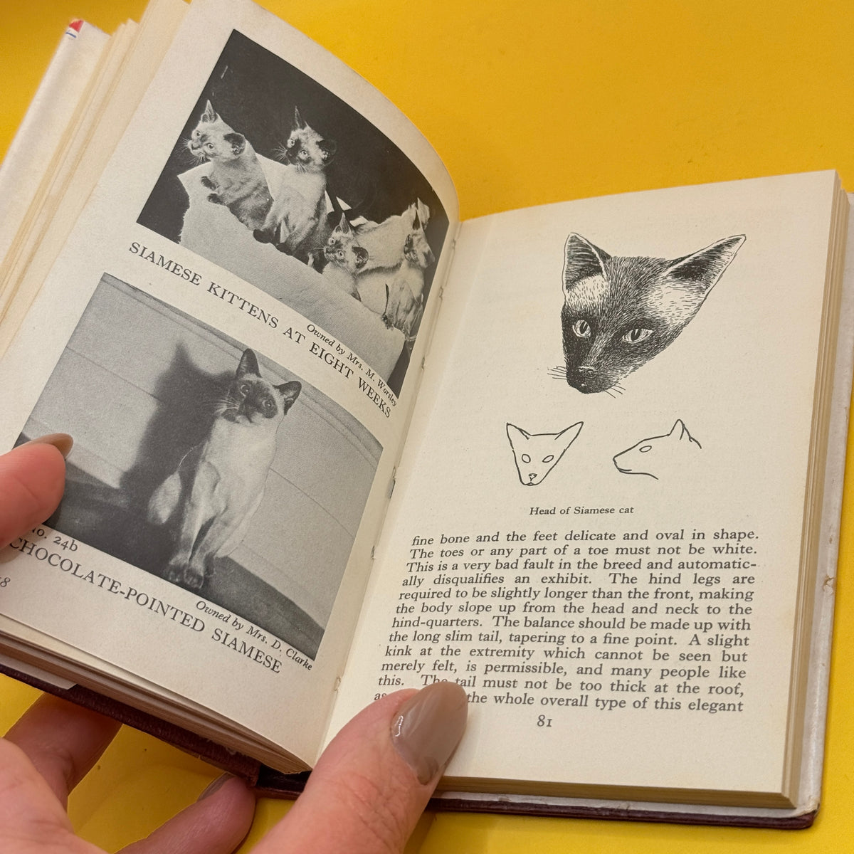 The Observer’s Book of Cats by Grace Pond (1959)