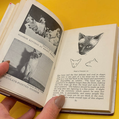 The Observer’s Book of Cats by Grace Pond (1959)