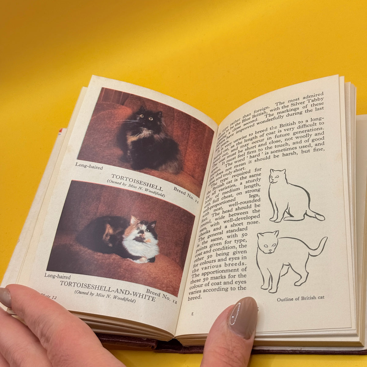 The Observer’s Book of Cats by Grace Pond (1959)