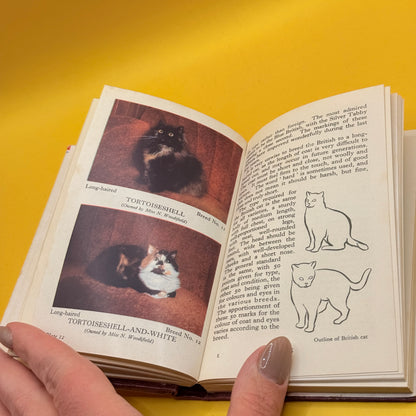 The Observer’s Book of Cats by Grace Pond (1959)