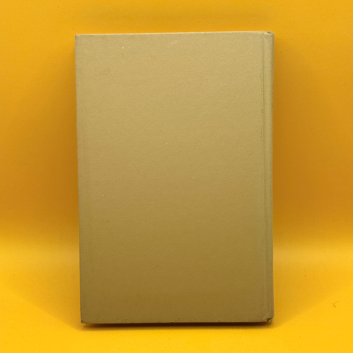 Gift of the Mountains by Ester Wier (1963)