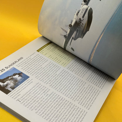 Warbirds Around the World by John King