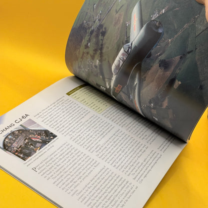 Warbirds Around the World by John King