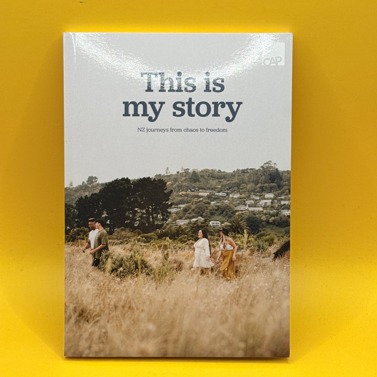 This Is My Story: NZ Journeys from Chaos to Freedom by Christians Against Poverty