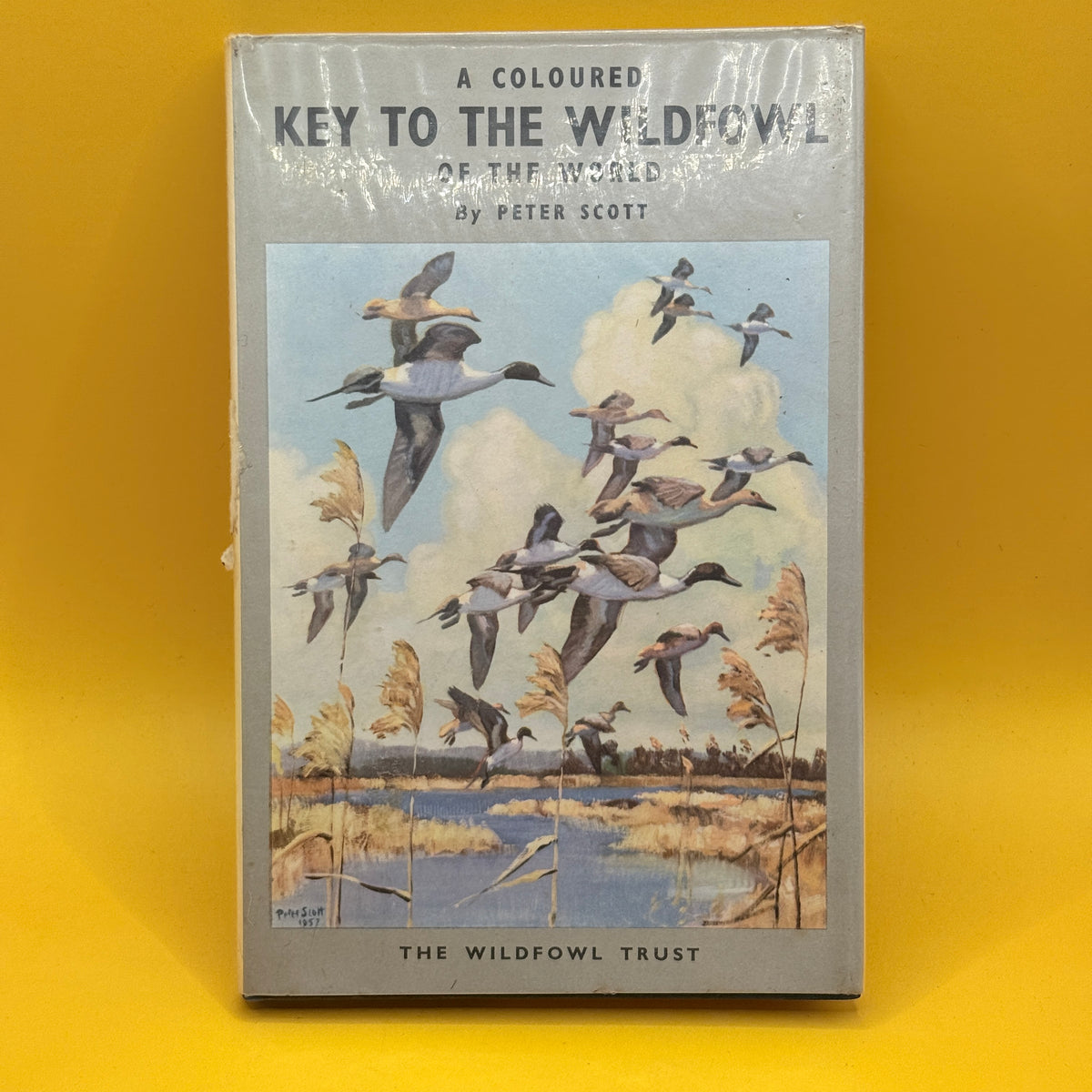 A Coloured Key to the Waterfowl of the World by Peter Scott (1968)