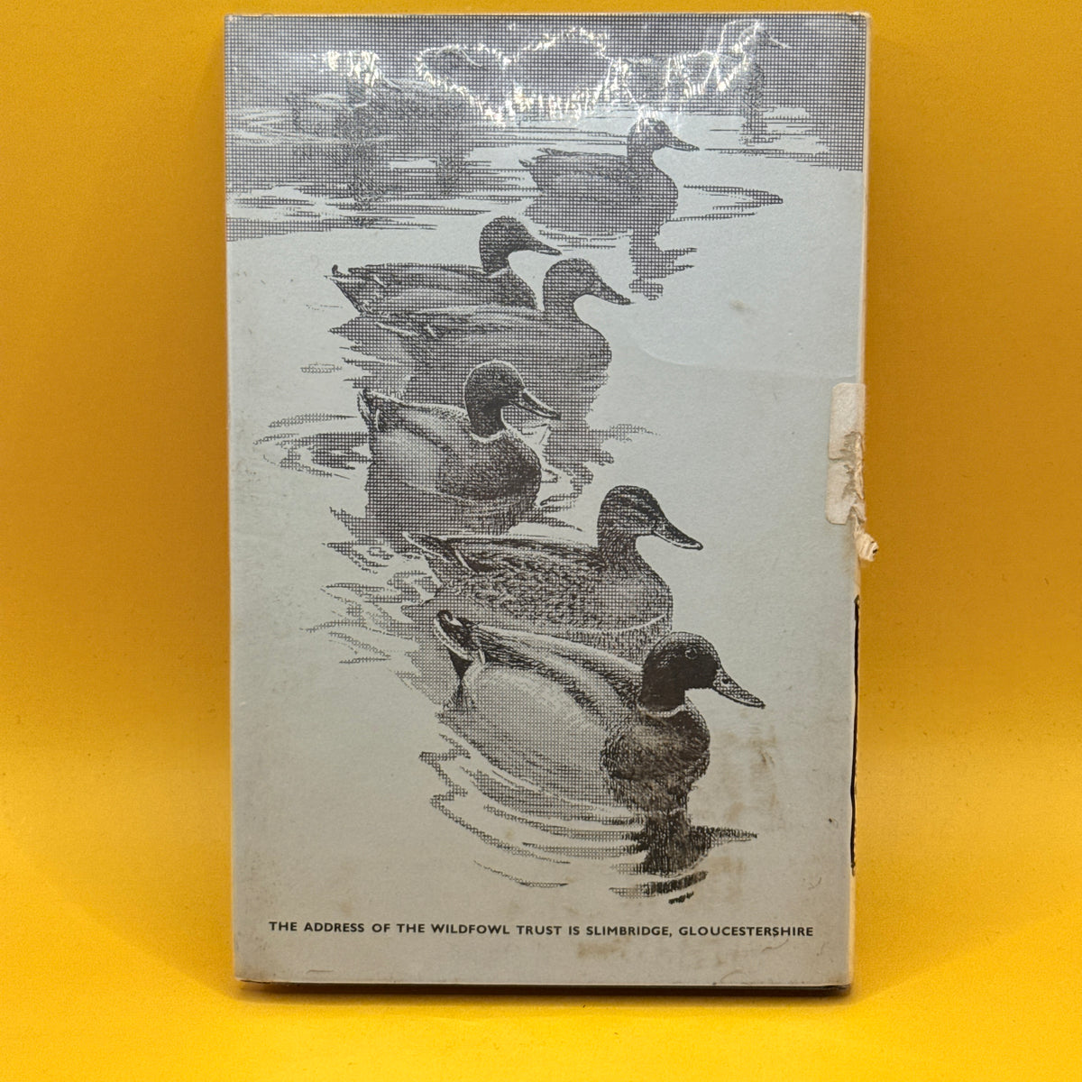 A Coloured Key to the Waterfowl of the World by Peter Scott (1968)