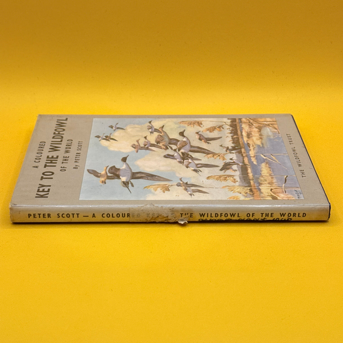 A Coloured Key to the Waterfowl of the World by Peter Scott (1968)