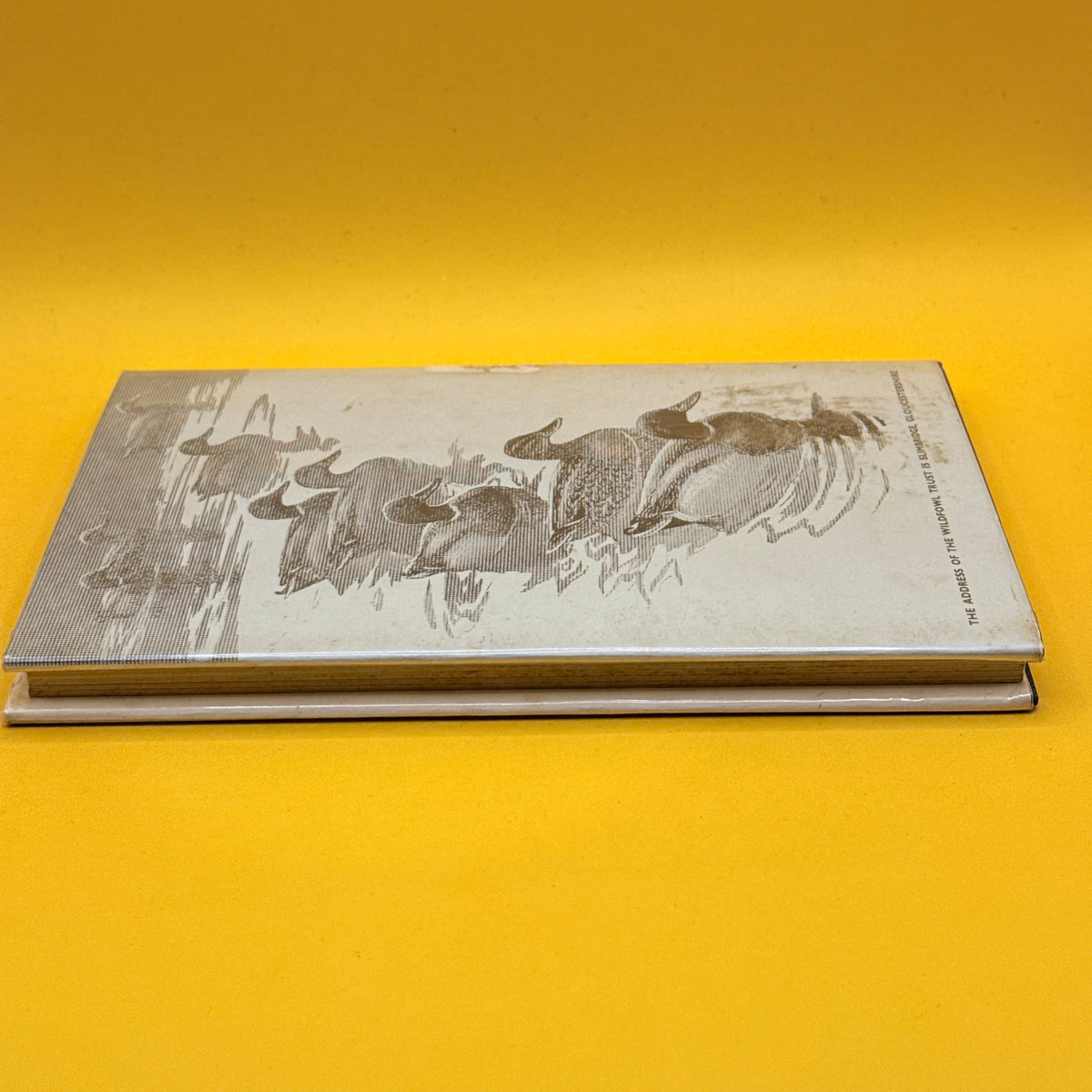 A Coloured Key to the Waterfowl of the World by Peter Scott (1968)