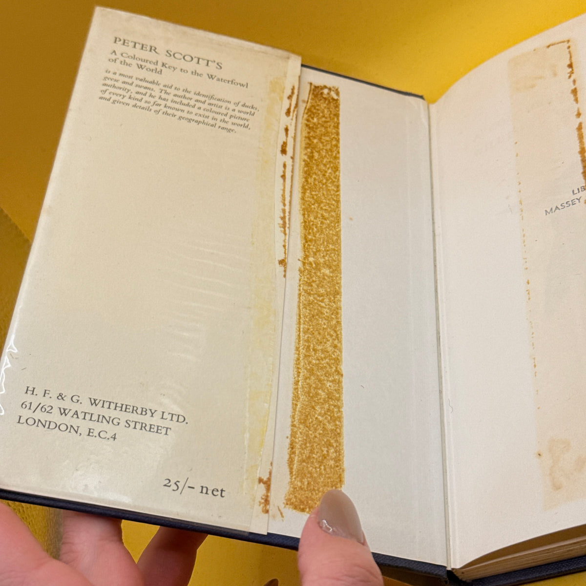 A Coloured Key to the Waterfowl of the World by Peter Scott (1968)