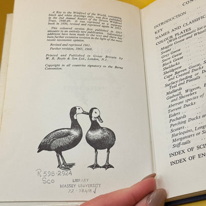 A Coloured Key to the Waterfowl of the World by Peter Scott (1968)