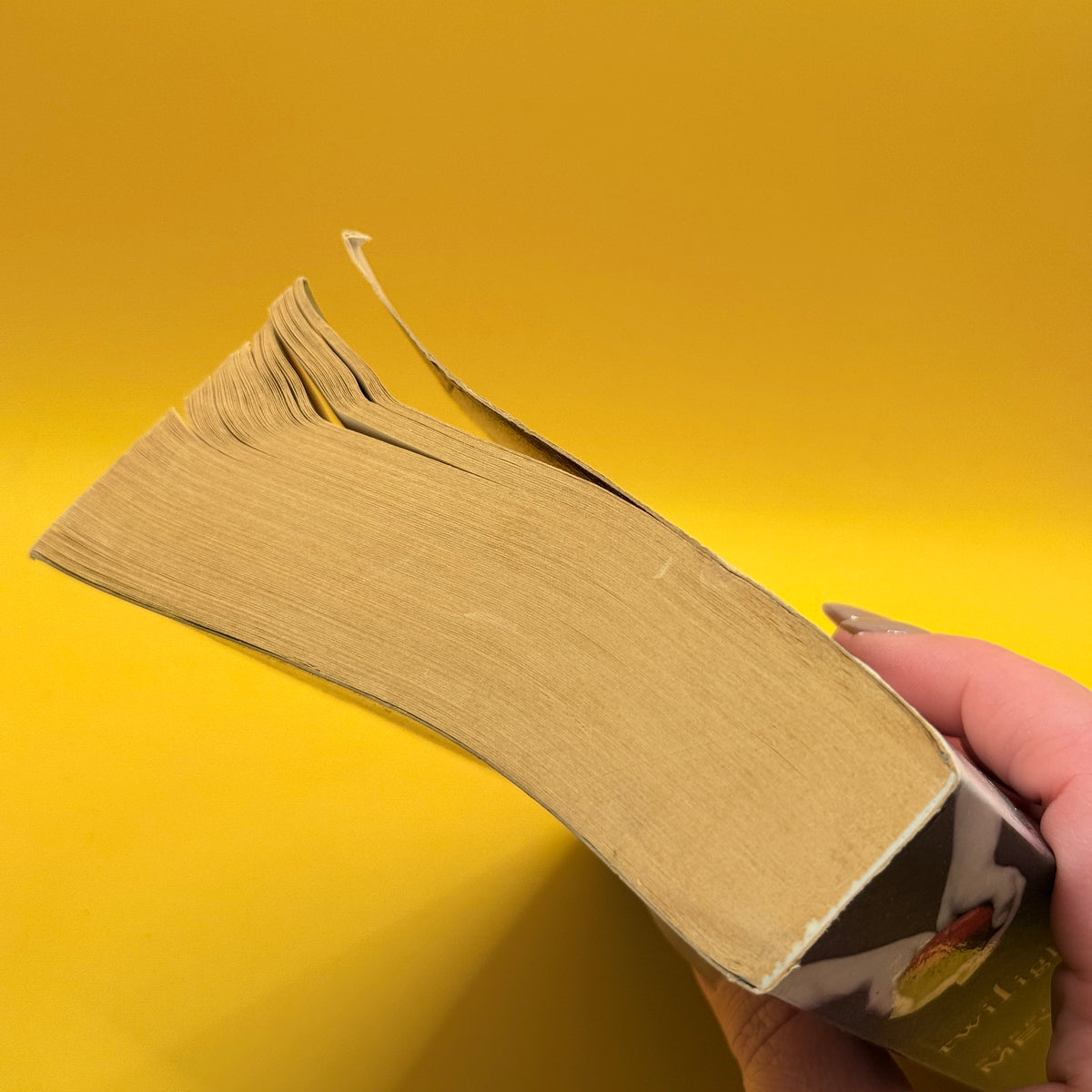 Twilight by Stephenie Meyer