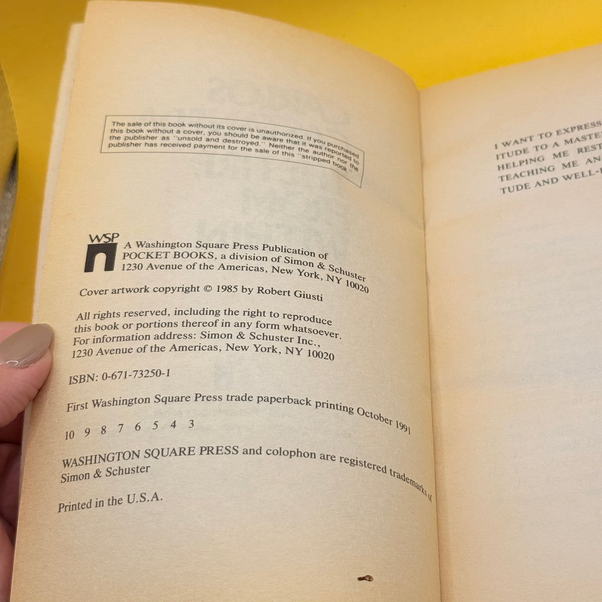 The Fire from Within by Carlos Castaneda (1991)