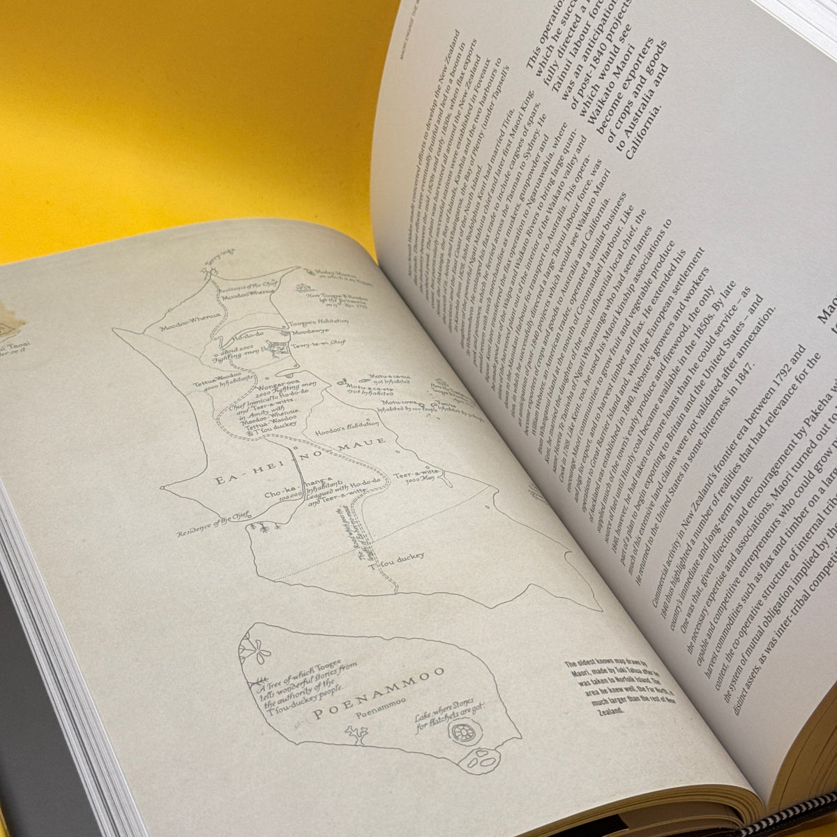 The Penguin History of New Zealand Illustrated by Michael King