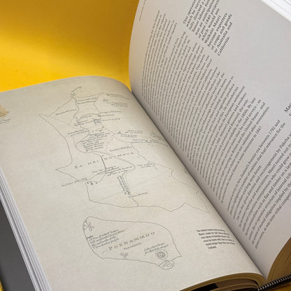 The Penguin History of New Zealand Illustrated by Michael King