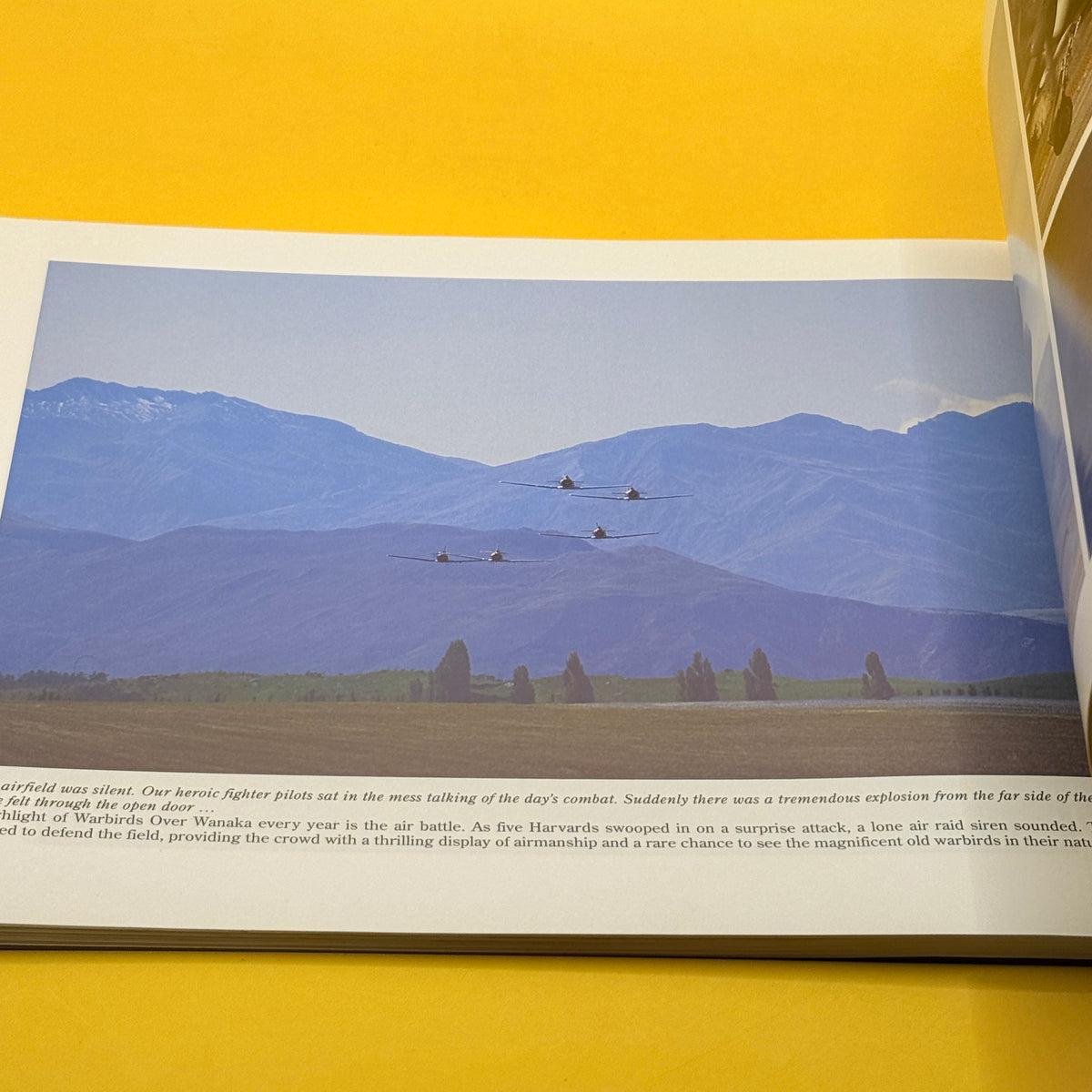 Warbirds Over Wanaka '94 by Gerard S. Morris and Prue Wallis