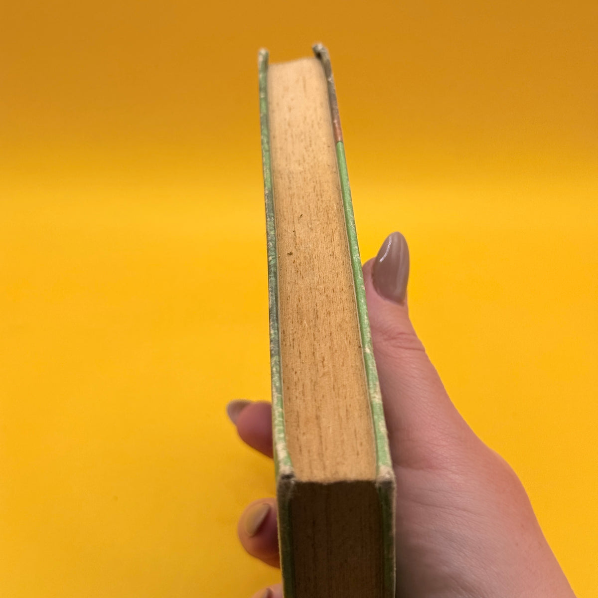 The Hardy Boys: The Hooded Hawk Mystery by Franklin W. Dixon (1973)