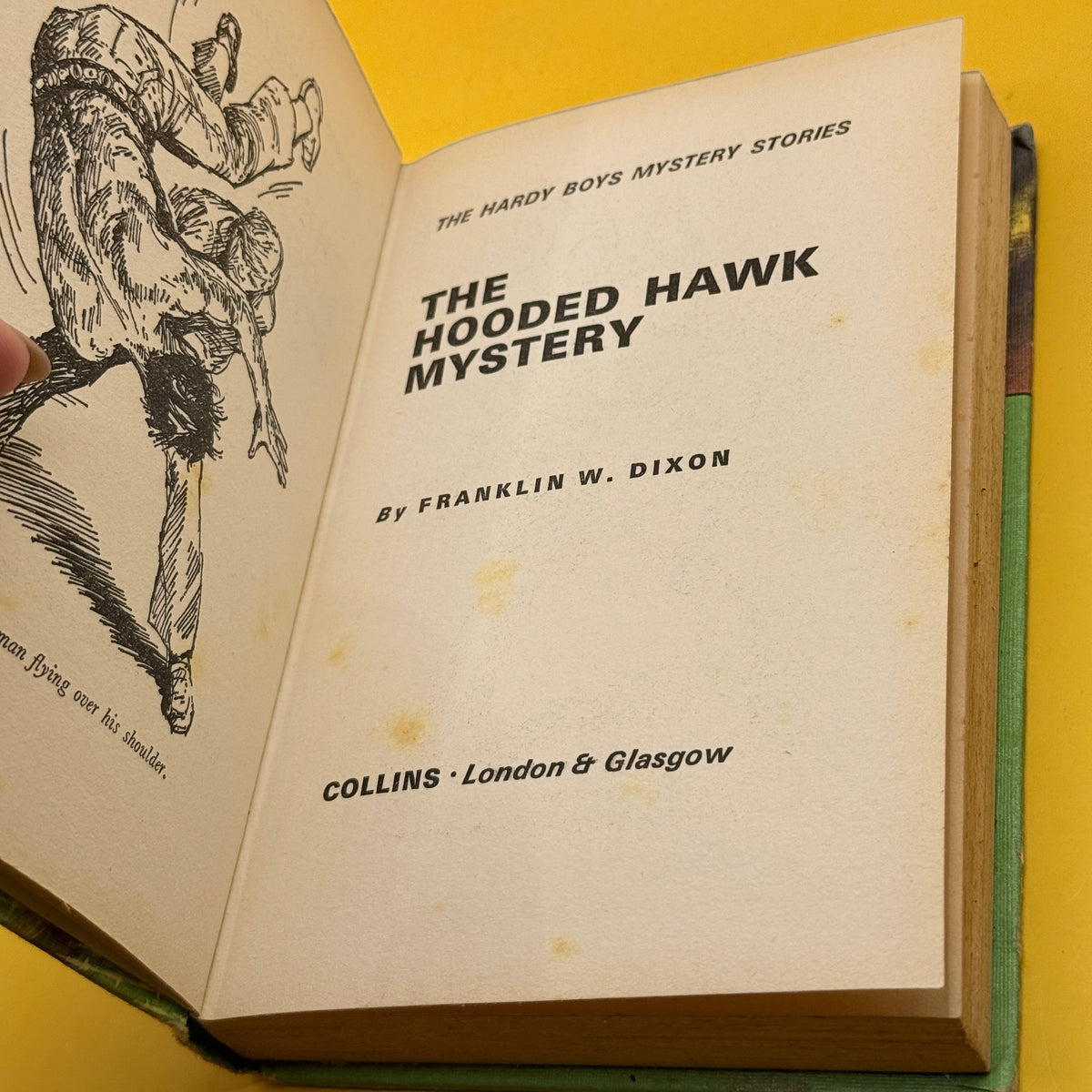 The Hardy Boys: The Hooded Hawk Mystery by Franklin W. Dixon (1973)