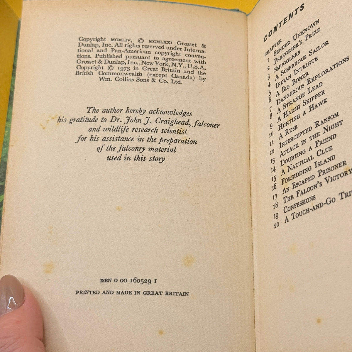 The Hardy Boys: The Hooded Hawk Mystery by Franklin W. Dixon (1973)