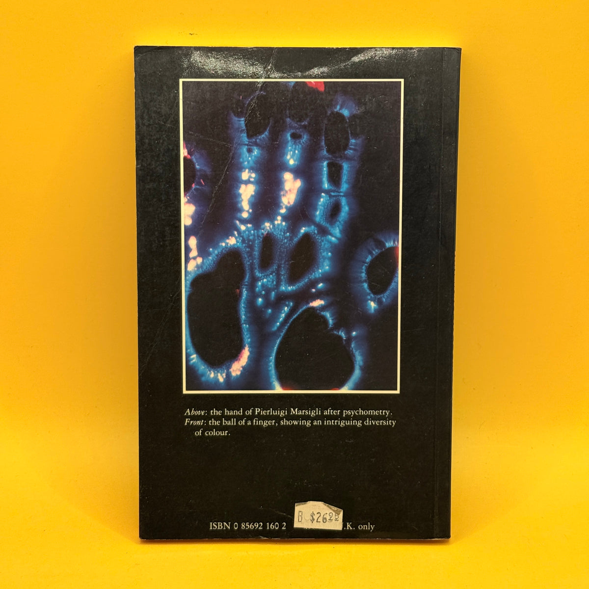 Kirlian Photography: Research and Prospects by Luigi Gennaro, Fulvio Guzzon and Pierluigi Marsigli