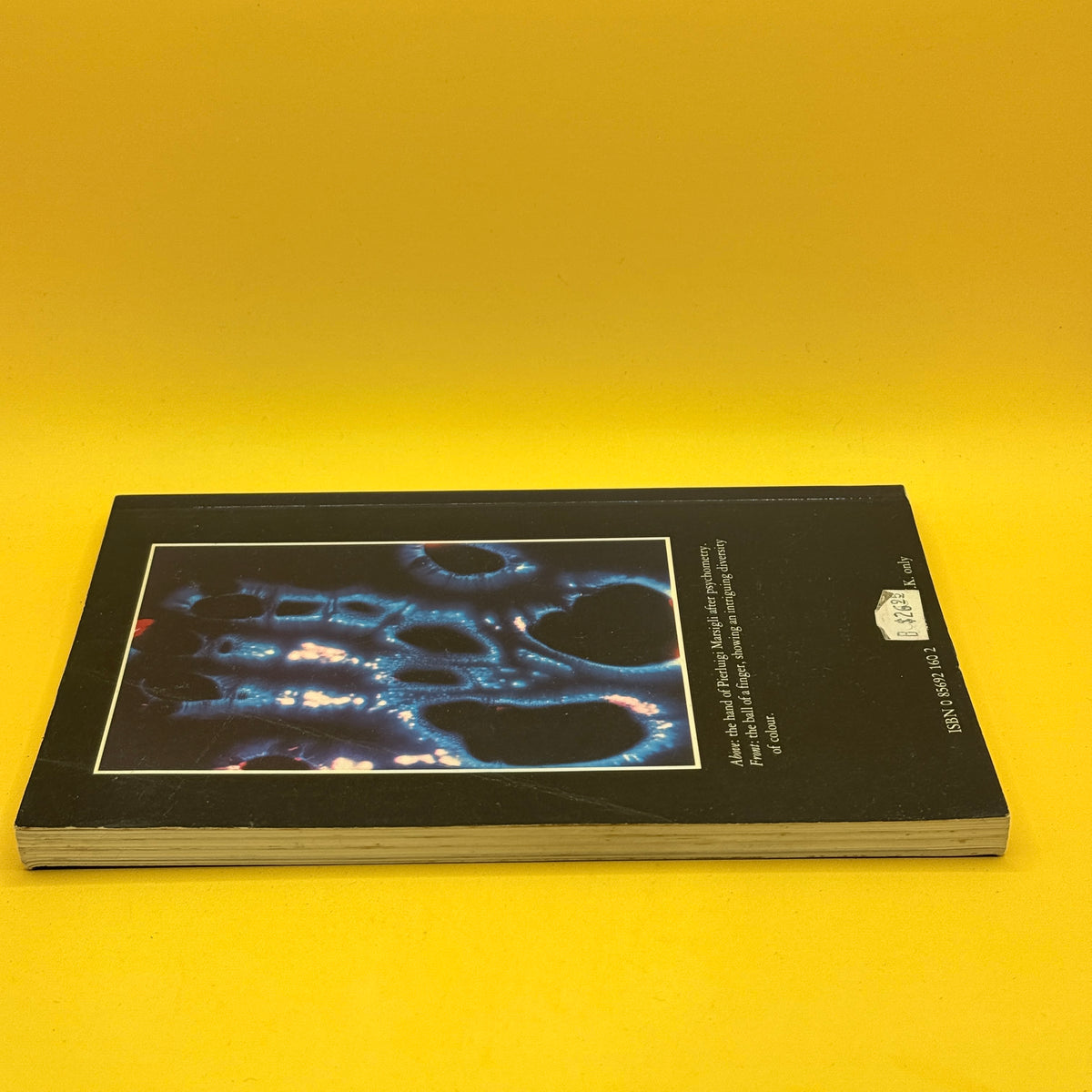 Kirlian Photography: Research and Prospects by Luigi Gennaro, Fulvio Guzzon and Pierluigi Marsigli