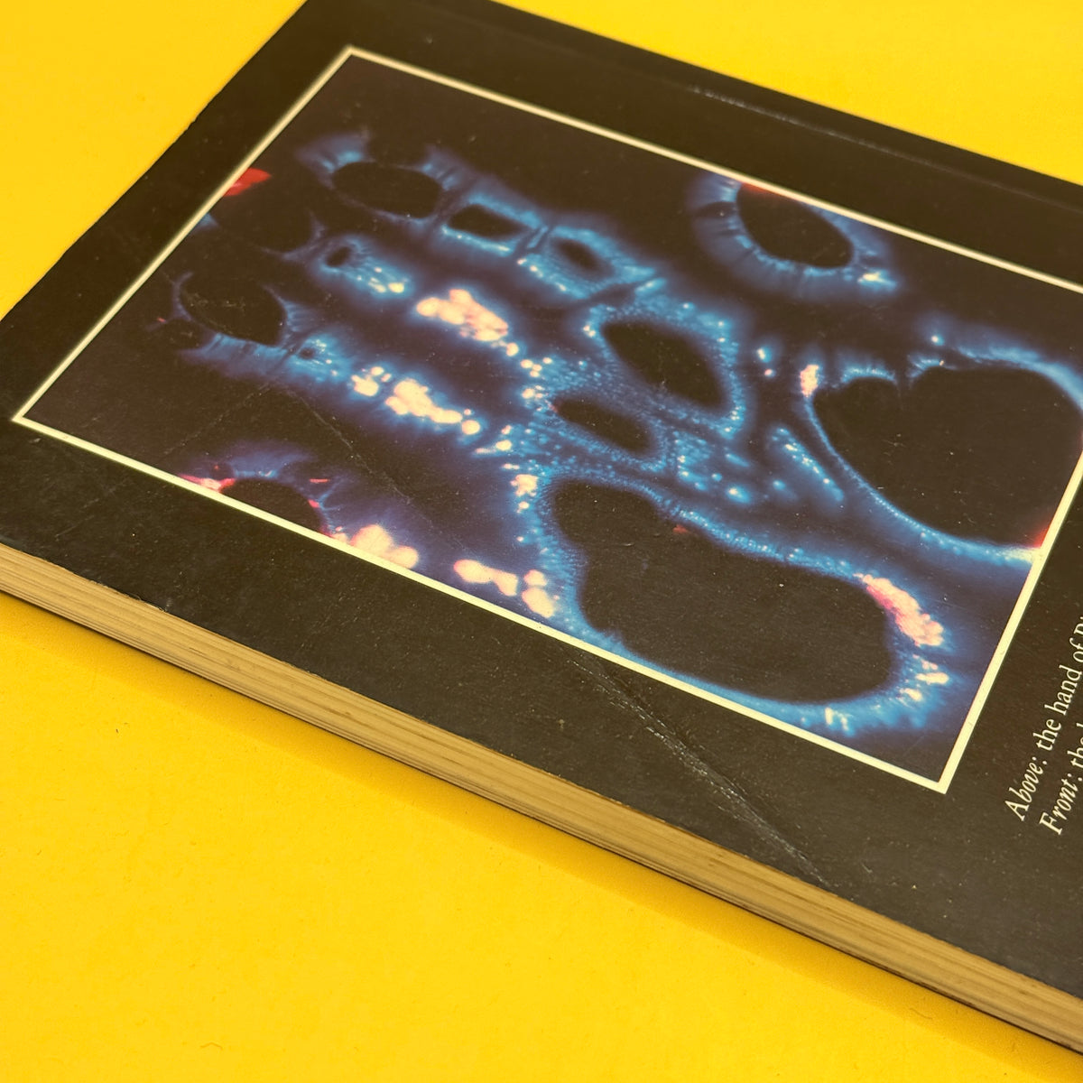 Kirlian Photography: Research and Prospects by Luigi Gennaro, Fulvio Guzzon and Pierluigi Marsigli