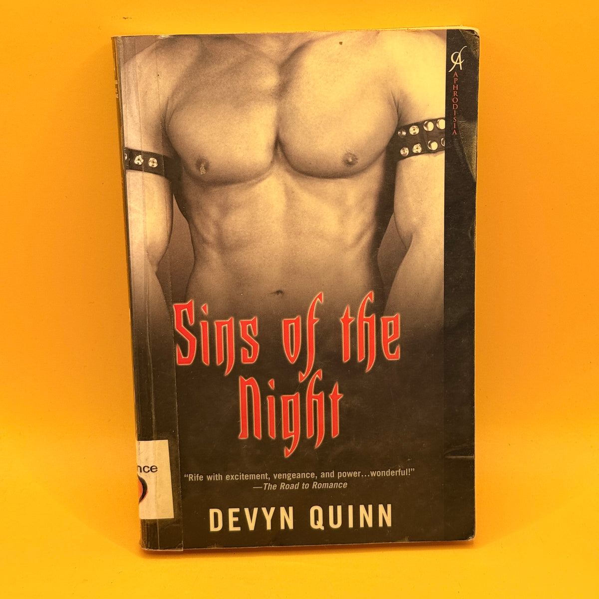 Sins of the Night by Devyn Quinn