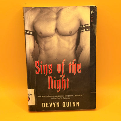 Sins of the Night by Devyn Quinn