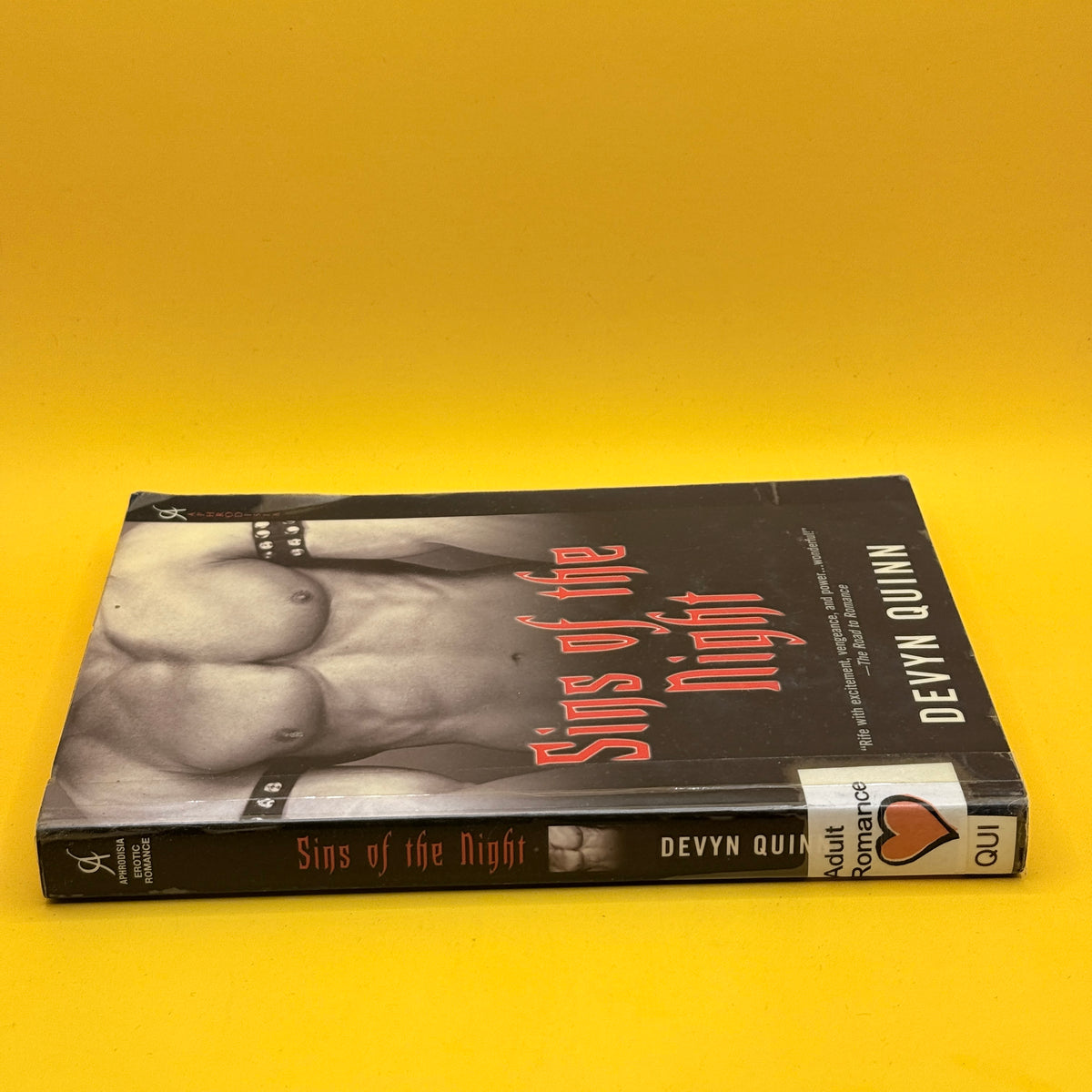 Sins of the Night by Devyn Quinn