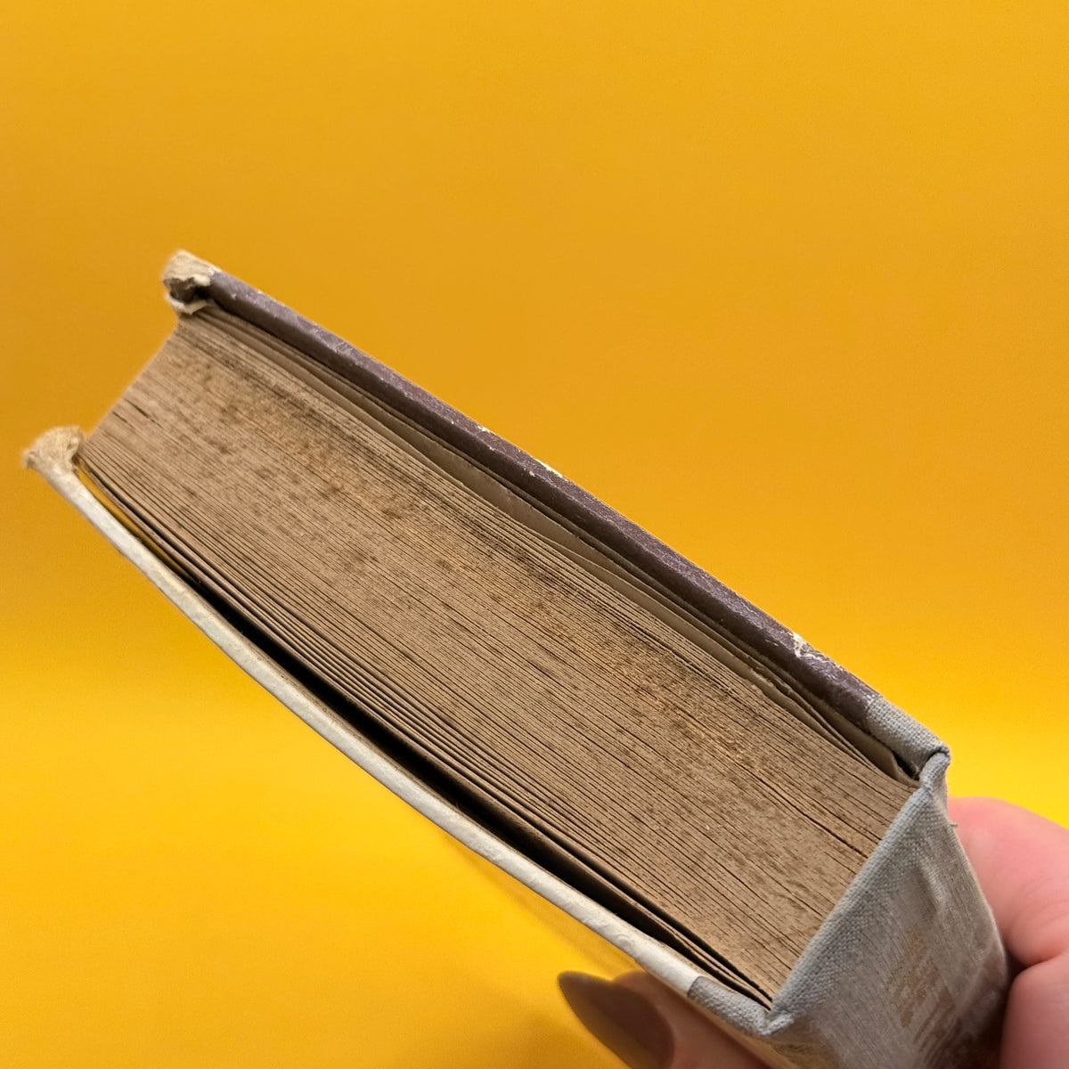 The Three Musketeers by Alexandre Dumas (Abbey Classics, undated)